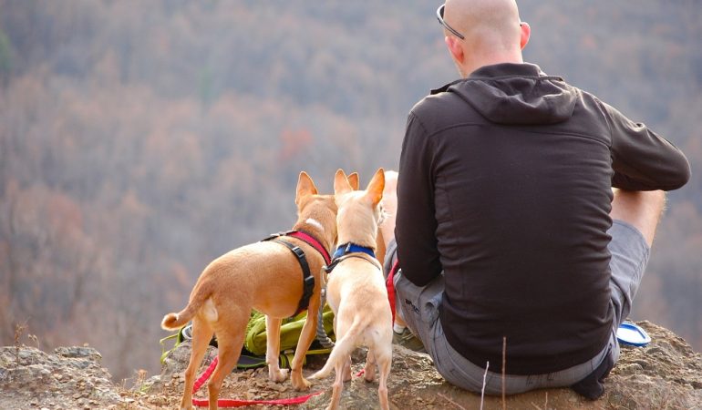 Camping en Occitanie : Quelques possibilités